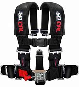 Image result for Seat Belt Harness