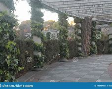 Image result for Pillars with Vines