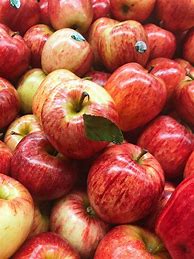Image result for Seedless Gala Apples