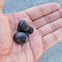 Image result for Surface Earbuds vs Galaxy Buds