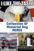 Image result for Memorial Day Animal Meme