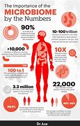 Image result for Healthy Gut Microbiome