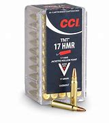 Image result for 17 Ammo
