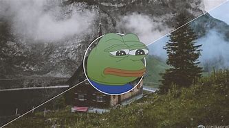 Image result for Tree Pepe Frog