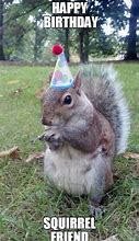 Image result for Happy Birthday Squirrel Meme
