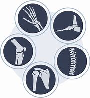 Image result for Orthopedic Clip Art