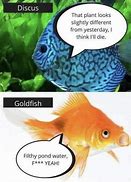 Image result for Aquarium Hobby Meme