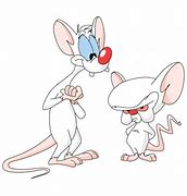 Image result for Trump Pinky and the Brain Meme