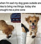Image result for Sorry Wholesome Meme