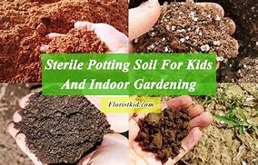 Image result for Sterile Potting Soil