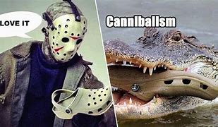 Image result for Funny Croc Shoe Memes