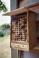 Image result for Bee Box