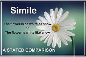 Image result for Definition of Simile