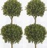 Image result for Artificial Bushes and Trees