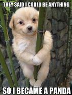 Image result for Cute Baby Puppies Memes