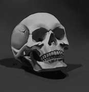 Image result for ArtStation Skull