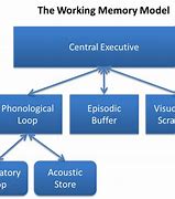 Image result for Working Memory