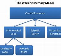 Image result for Types of Memory Psychology