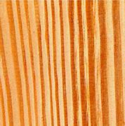 Image result for Southern Yellow Pine