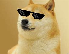 Image result for Doge Meme Dog Age