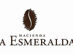 Image result for hacienda la esmeralda coffee