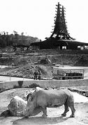 Image result for Old Los Angeles Zoo