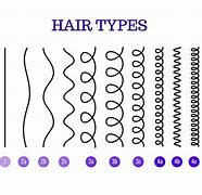 Image result for Type 4 Hair Diagram