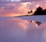 Image result for Tropical Beach Aesthetic Wallpaper