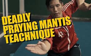 Image result for Deadly Mantis Kung Fu