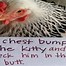 Image result for Crazy Chicken Meme