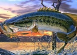 Image result for Free Fish DreamScene Wallpaper Downloads. Size: 154 x 110. Source: wallpaperaccess.com