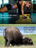 Image result for Wednsday Gym Meme