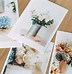 Image result for Matte 4x6 Prints