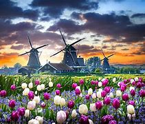 Image result for Beautiful Netherlands Landscapes