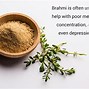 Image result for Memory Herb