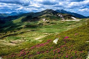 Image result for Rodna Mountains Romania