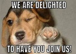 Image result for Welcome Animal Meme