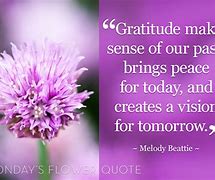 Image result for Gratitude Exercises