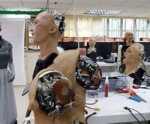 Image result for Chinese Robot Sophia