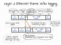 Image result for Layer 2 Ethernet Frame