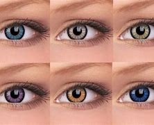 Image result for Purple Eye Contacts Color
