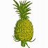 Image result for Green Fruit Clip Art