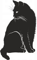 Image result for Black Cat Shadow