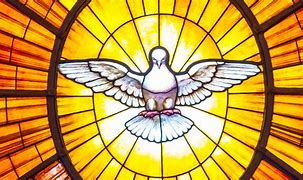 Image result for The Holy Spirit Dove