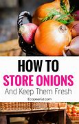 Image result for How to Store Onions