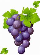 Image result for Grapes Cartoon