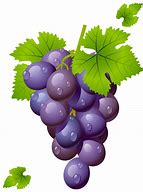 Image result for California Grapes Cartoon