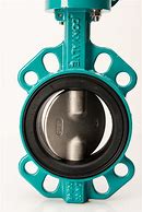 Image result for 2 Wafer Butterfly Valve
