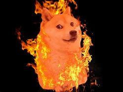 Image result for Dog On Fire Meme