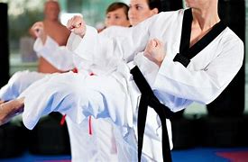 Image result for World Martial Arts Academy